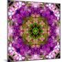 Green Blossom Mandala-Alaya Gadeh-Mounted Photographic Print