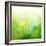 Green Bokeh Abstract Light--Vladimir--Framed Art Print