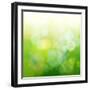 Green Bokeh Abstract Light--Vladimir--Framed Art Print