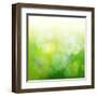 Green Bokeh Abstract Light--Vladimir--Framed Art Print