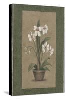 Green Border Triptych - Left-John Zaccheo-Stretched Canvas