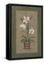 Green Border Triptych - Right-John Zaccheo-Framed Stretched Canvas