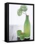 Green Bottle with Flowers and Green Glasses-Alena Hrbkova-Framed Stretched Canvas