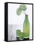 Green Bottle with Flowers and Green Glasses-Alena Hrbkova-Framed Stretched Canvas