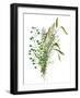 Green Bouquet II-Melissa Wang-Framed Art Print