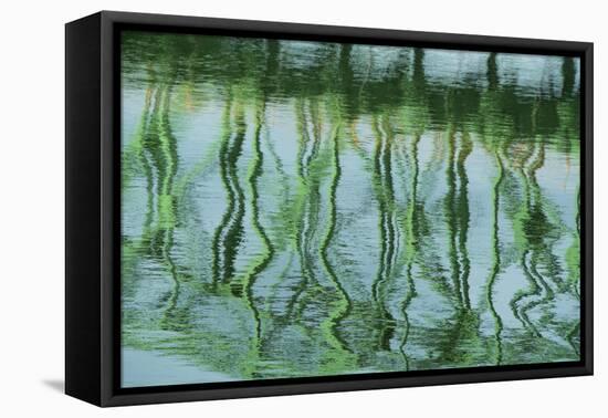 Green bridge reflection in water.-Cindy Miller Hopkins-Framed Stretched Canvas