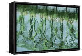 Green bridge reflection in water.-Cindy Miller Hopkins-Framed Stretched Canvas