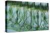 Green bridge reflection in water.-Cindy Miller Hopkins-Stretched Canvas