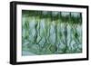 Green bridge reflection in water.-Cindy Miller Hopkins-Framed Photographic Print