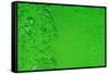 Green Bubbles 2-Steve Gadomski-Framed Stretched Canvas