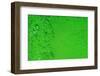 Green Bubbles 2-Steve Gadomski-Framed Photographic Print