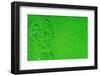 Green Bubbles 2-Steve Gadomski-Framed Photographic Print
