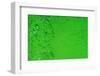 Green Bubbles 2-Steve Gadomski-Framed Photographic Print