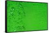 Green Bubbles 2-Steve Gadomski-Framed Stretched Canvas