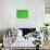 Green Bubbles-Steve Gadomski-Photographic Print displayed on a wall