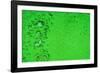 Green Bubbles-Steve Gadomski-Framed Photographic Print