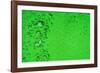 Green Bubbles-Steve Gadomski-Framed Photographic Print