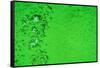 Green Bubbles-Steve Gadomski-Framed Stretched Canvas
