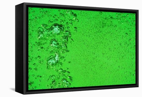 Green Bubbles-Steve Gadomski-Framed Stretched Canvas