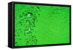 Green Bubbles-Steve Gadomski-Framed Stretched Canvas