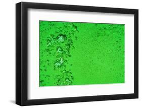 Green Bubbles-Steve Gadomski-Framed Photographic Print