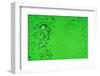 Green Bubbles-Steve Gadomski-Framed Photographic Print