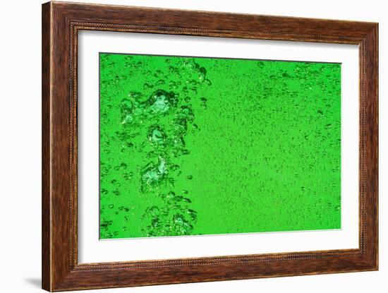 Green Bubbles-Steve Gadomski-Framed Photographic Print