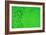 Green Bubbles-Steve Gadomski-Framed Photographic Print