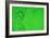 Green Bubbles-Steve Gadomski-Framed Photographic Print