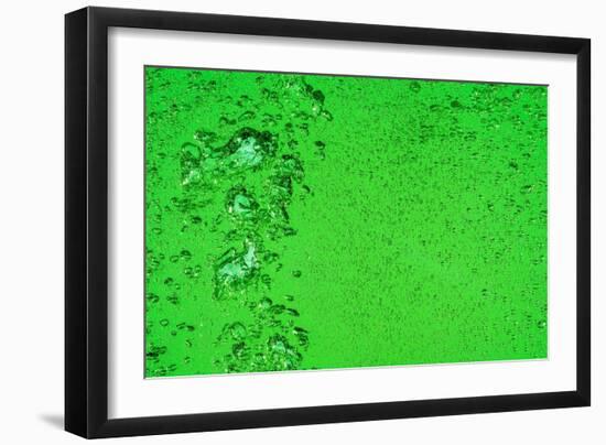 Green Bubbles-Steve Gadomski-Framed Photographic Print