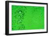 Green Bubbles-Steve Gadomski-Framed Photographic Print