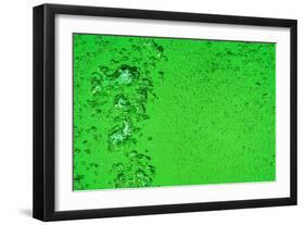 Green Bubbles-Steve Gadomski-Framed Photographic Print