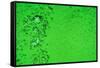 Green Bubbles-Steve Gadomski-Framed Stretched Canvas