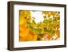 Green butterflies-Philippe Sainte-Laudy-Framed Photographic Print