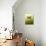 Green Butterfly Fae-Atelier Sommerland-Art Print displayed on a wall