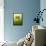 Green Butterfly Fae-Atelier Sommerland-Framed Stretched Canvas displayed on a wall