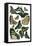Green Butterfly Study-Vision Studio-Framed Stretched Canvas