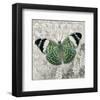 Green Butterfly-Alan Hopfensperger-Framed Art Print