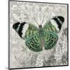 Green Butterfly-Alan Hopfensperger-Mounted Art Print