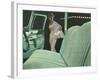 Green Car Interior with Dressed Up Woman-null-Framed Art Print