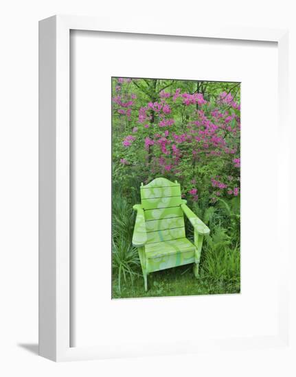 Green chair and azalea in bloom, Chanticleer Garden, Wayne, Pennsylvania.-Darrell Gulin-Framed Photographic Print