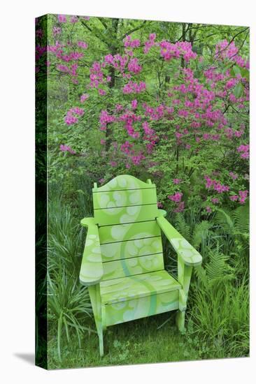 Green chair and azalea in bloom, Chanticleer Garden, Wayne, Pennsylvania.-Darrell Gulin-Stretched Canvas