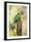 Green-Cheeked Conure-null-Framed Photographic Print