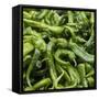 Green Chili Peppers Collage-null-Framed Stretched Canvas