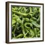 Green Chili Peppers Collage-null-Framed Photographic Print