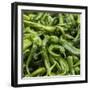 Green Chili Peppers Collage-null-Framed Photographic Print