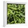 Green Chili Peppers Collage-null-Framed Photographic Print