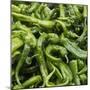 Green Chili Peppers Collage-null-Mounted Photographic Print