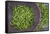 Green Chillies in Hpa an Morning Market, Kayin State (Karen State), Myanmar (Burma), Asia-Matthew Williams-Ellis-Framed Stretched Canvas