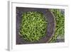 Green Chillies in Hpa an Morning Market, Kayin State (Karen State), Myanmar (Burma), Asia-Matthew Williams-Ellis-Framed Photographic Print